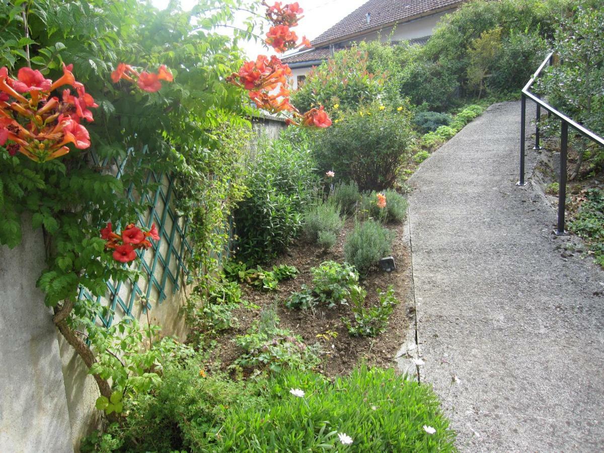 Ferienwohnung Isatis Bagnères-de-Bigorre Exterior foto